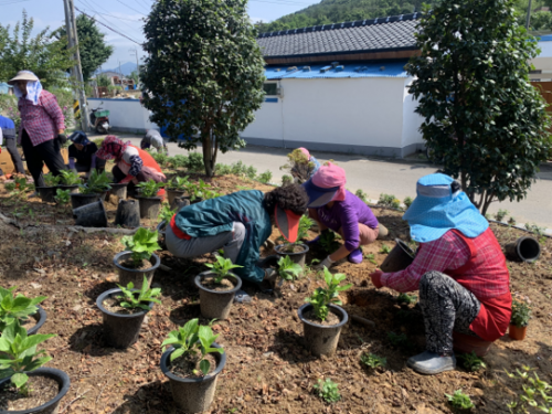 시례마을 경관가꾸기 자체활동 3차