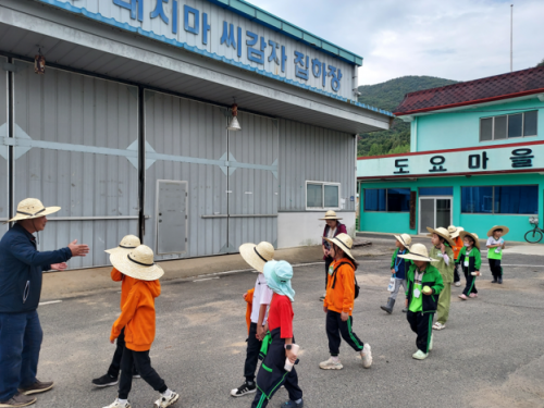 도요마을 작은공동교육과정 운영